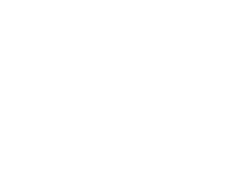 SafeParty